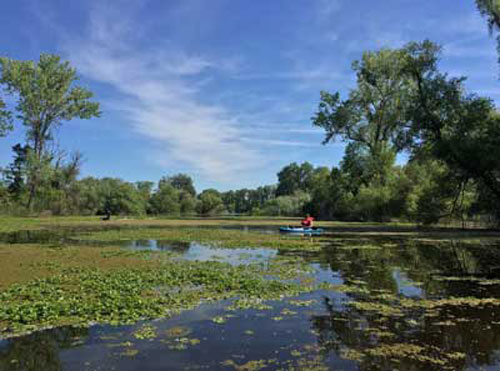 Kayaking to an end of Rodman Slough